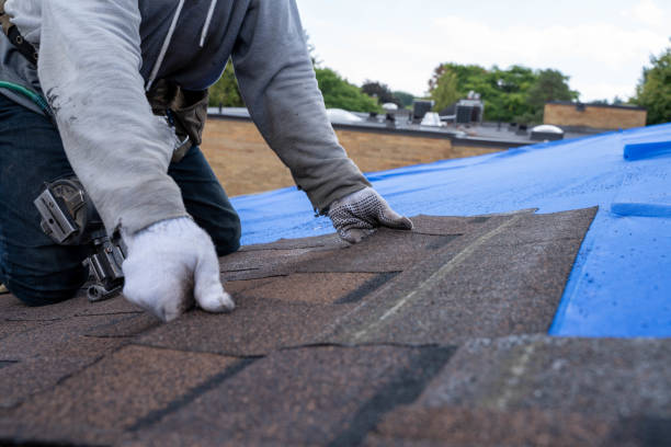 Roof Gutter Cleaning in Englewood, FL